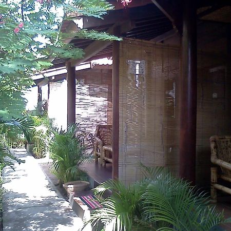 Alexyane Paradise Bungalow ギリ・トラワンガン エクステリア 写真