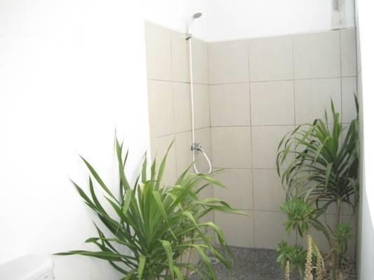 Alexyane Paradise Bungalow ギリ・トラワンガン エクステリア 写真