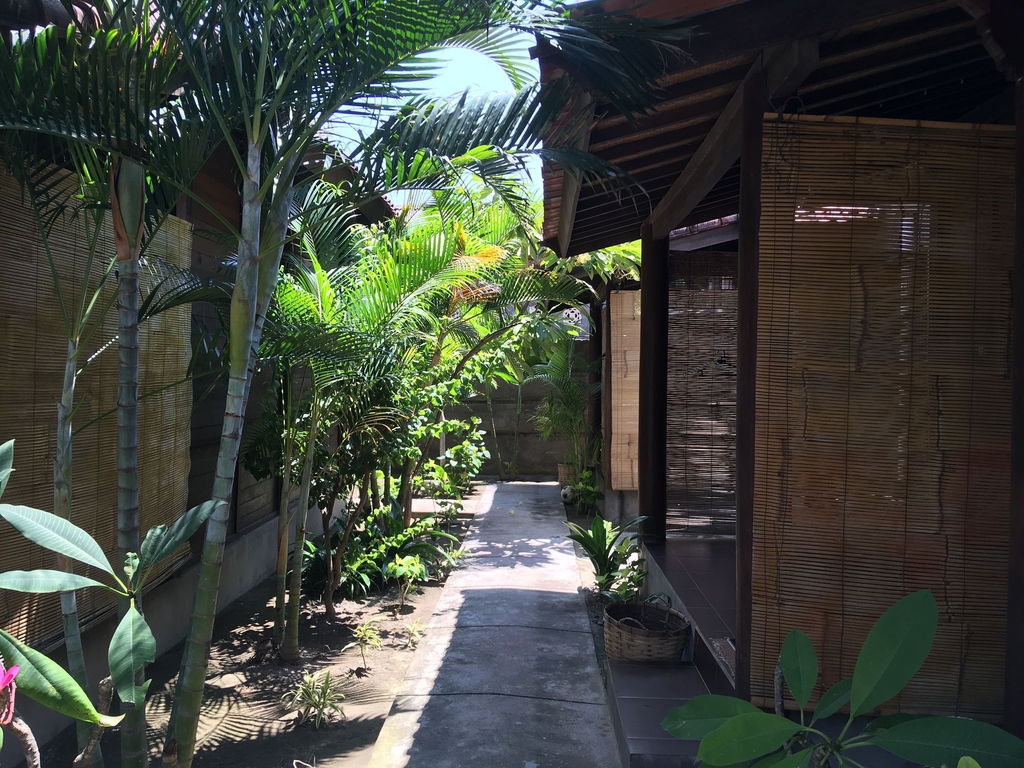 Alexyane Paradise Bungalow ギリ・トラワンガン エクステリア 写真